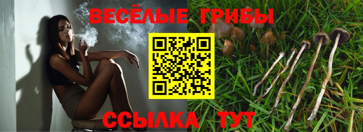 Стрежевой  Псилоцибиновые грибы прущие грибы  Вход с VPN  Псилоцибиновые грибы Cubensis 
