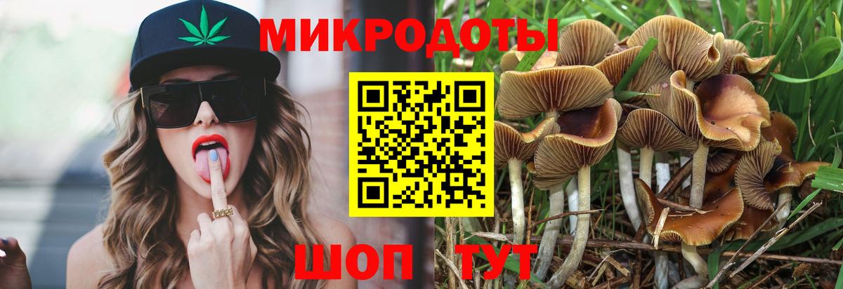 Галлюциногенные грибы мицелий Стрежевой